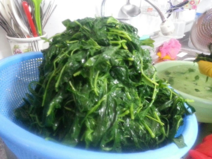 521d81423d3e2258cf741b1c8ce0caf4_1497155