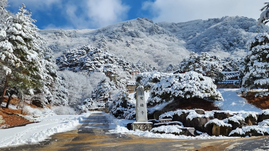 635566147d87bcefbfe1aa726bc3e806_1674172